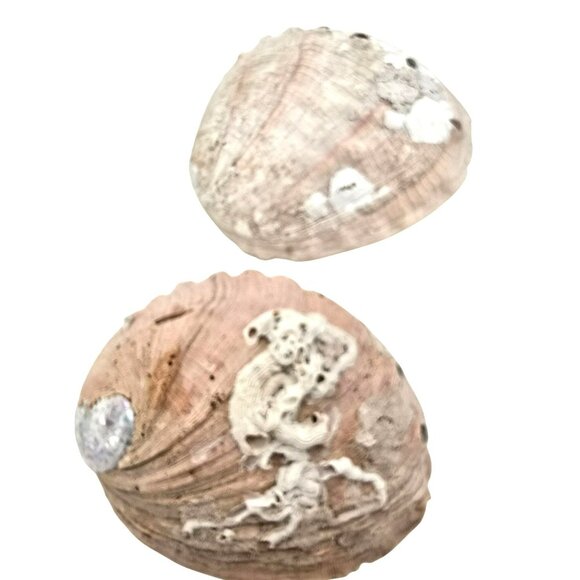 Abalone Shells Set of 2 Decorative Ocean-Themed Home Décor Art Pieces JE252 - Picture 8 of 13